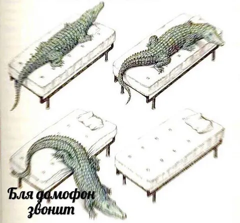 Бля, домофон звонит