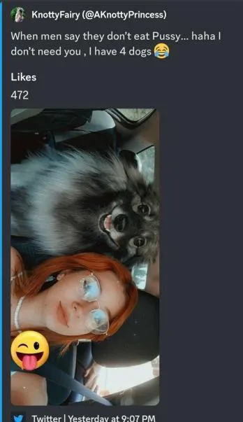 I Have Four Dogs