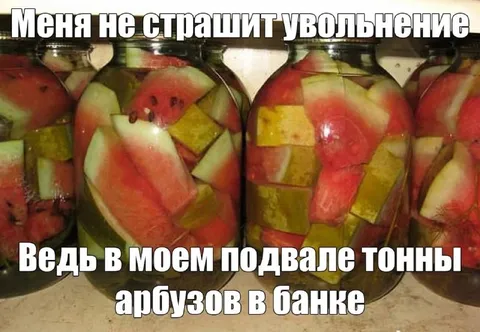 Тонны арбузов в банке