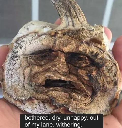 Withering Face Root Reaction