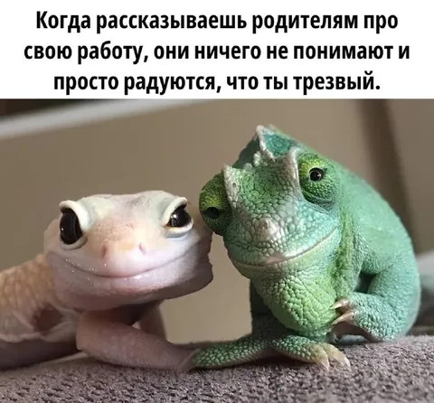 Родители радуются, что ты трезвый