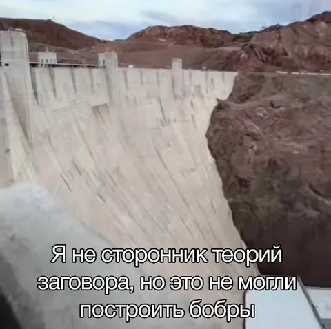 Бобры построили плотину