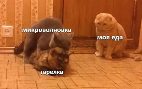Кошки и микроволновка