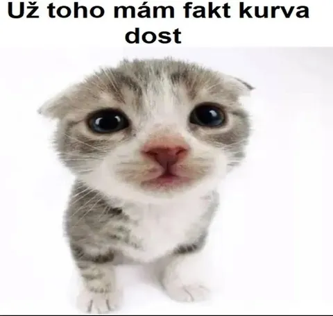 Už toho mám fakt kurva dost