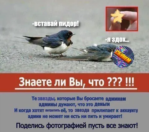 Звезды прилетают к аккаунту админа