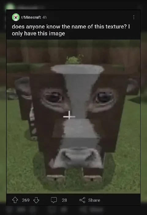 Minecraft Cow Texture Identification