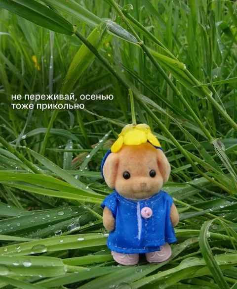 Не переживай, осенью тоже прикольно