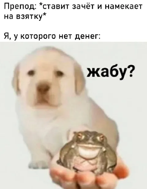 Когда нет денег на взятку