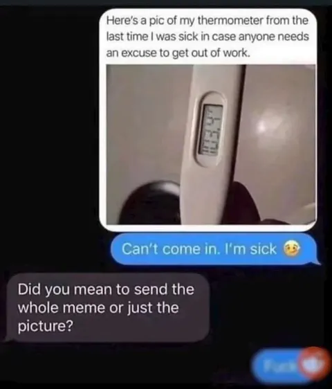 Sent the Whole Meme
