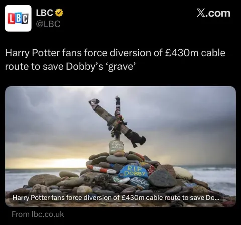 Harry Potter Fans Save Dobby’s Grave