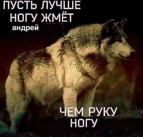 Пусть лучше ногу жмёт Андрей
