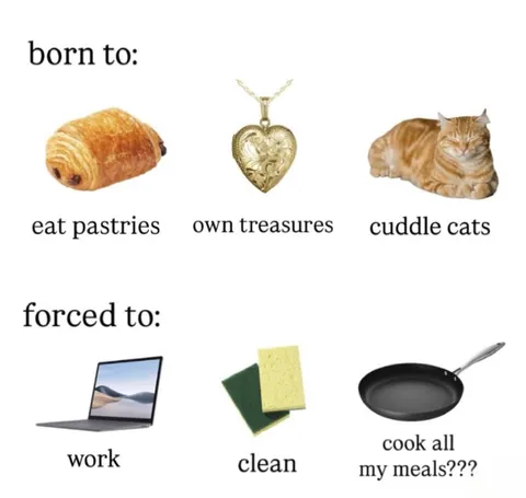 Born to Cuddle Cats, Forced to Work