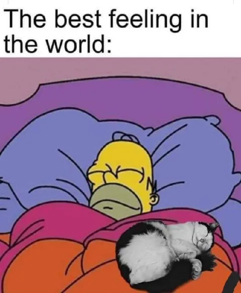 Homer Simpson Sleeping Peacefully