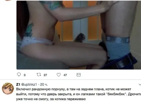 Котик не может выйти