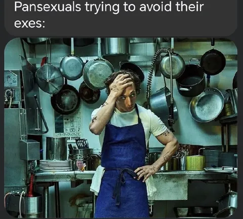 Pansexuals Avoiding Their Exes