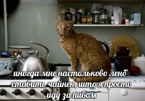 Когда лень ставить чайник