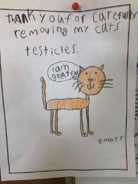 Cat Thanks for Neutering