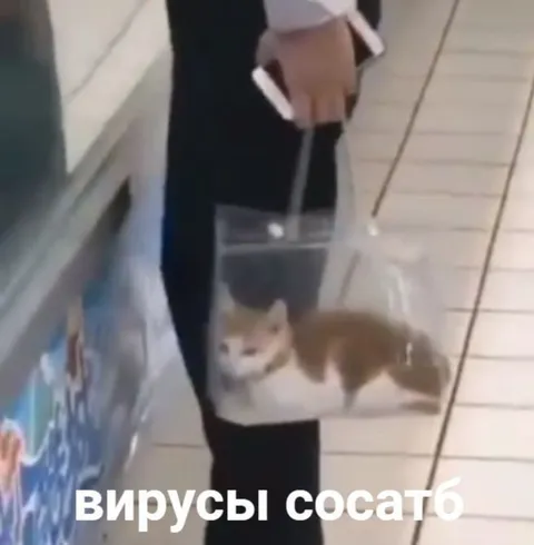 Вирусы сосать