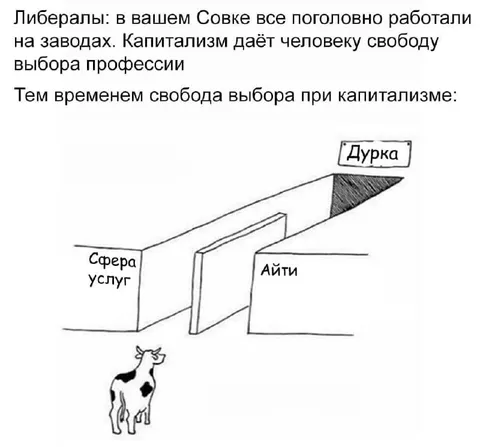 Свобода выбора профессии при капитализме