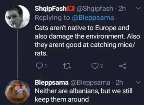 Cats and Albanians Reply