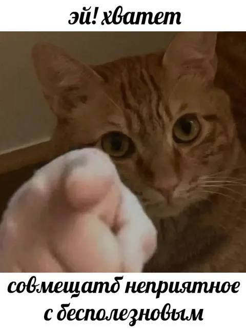 Кот запрещает совмещать
