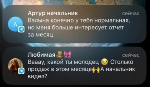 Начальник проверяет отчёт