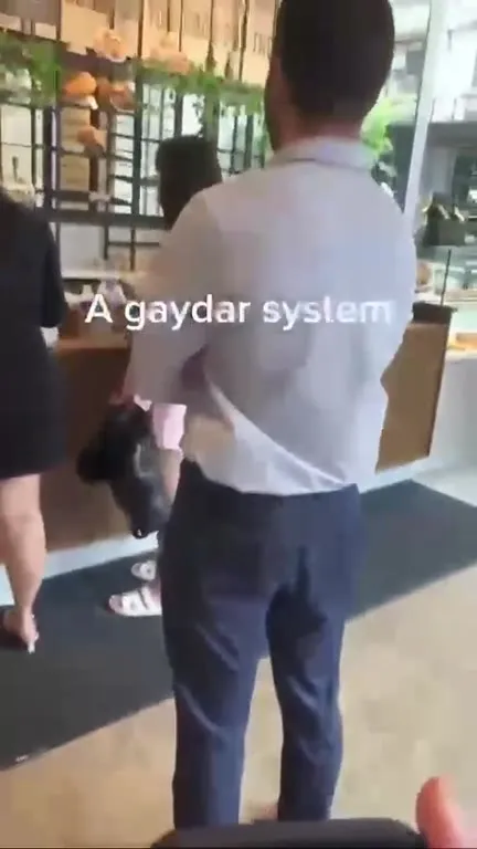 Gaydar System Detects a Match