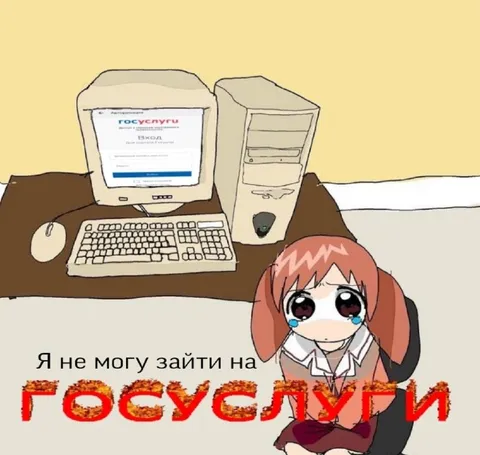 Не могу зайти на Госуслуги