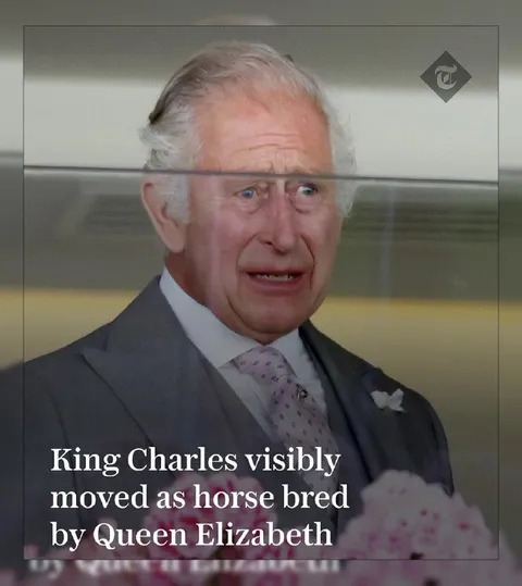 King Charles Horse Reaction