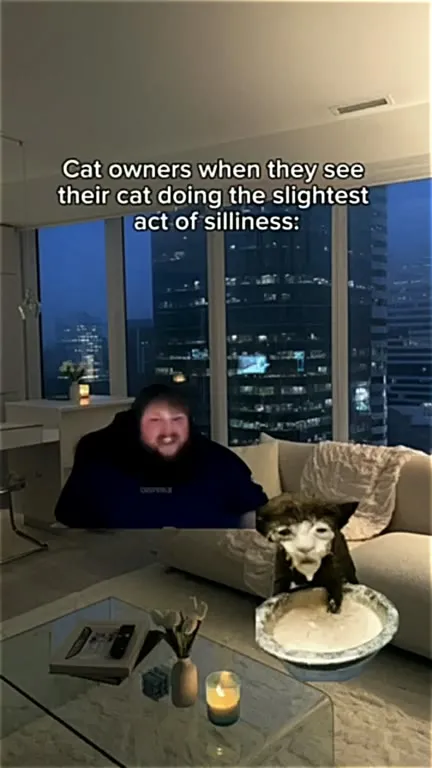 Cat Owners See Their Cat Being Silly