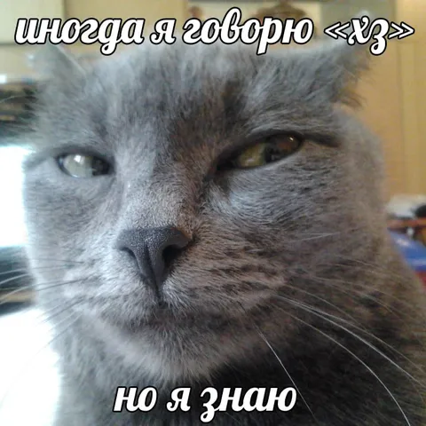 Иногда я говорю «хз»