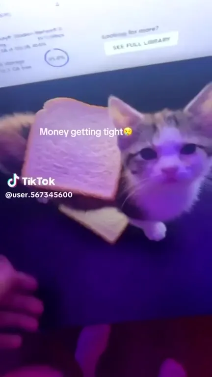 Money Getting Tight Cat