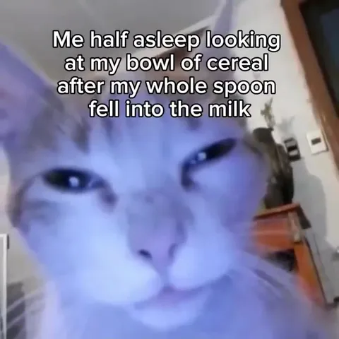 Sleepy Cat Loses Spoon