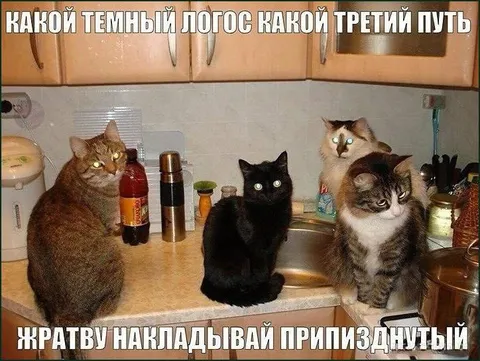 Три кота и тёмный логос