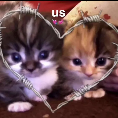 Us Against the World