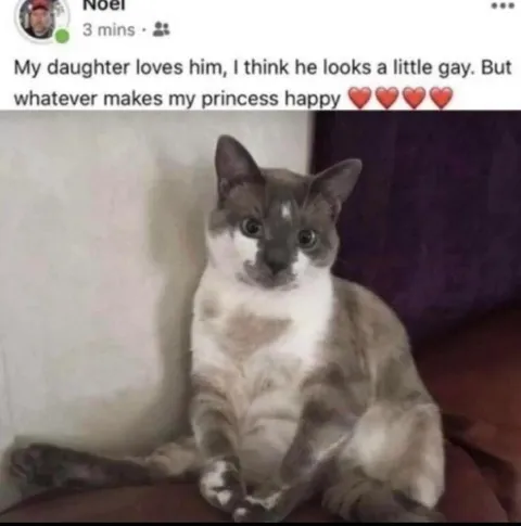 Whatever Makes My Princess Happy
