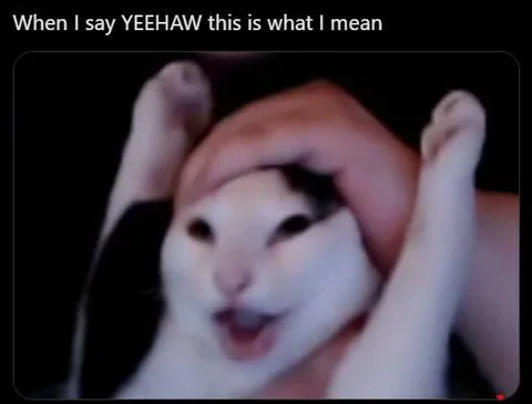 Yeehaw Cat Celebration