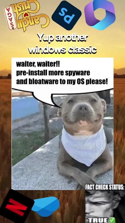 Another Windows Classic