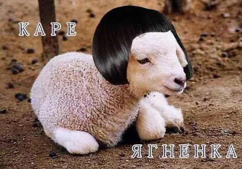 Ягнёнок с каре