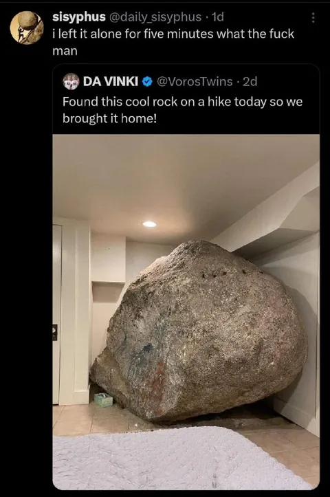 Brought Home a Cool Rock