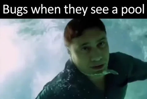 Bugs When They See a Pool