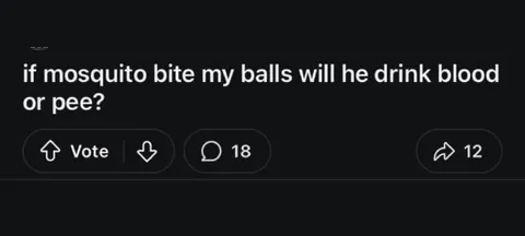 Mosquito Bites My Balls