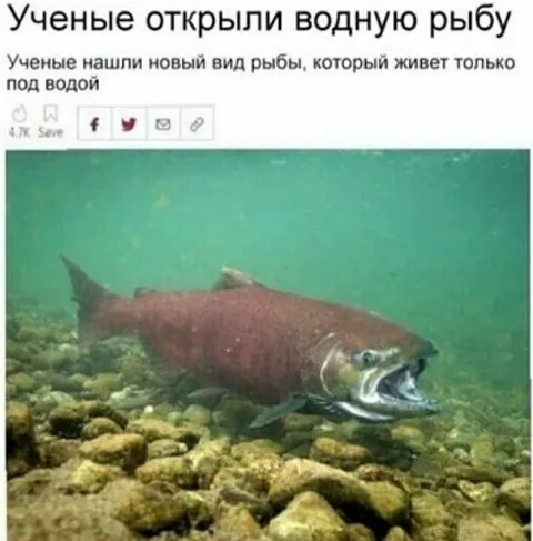 Учёные открыли водную рыбу