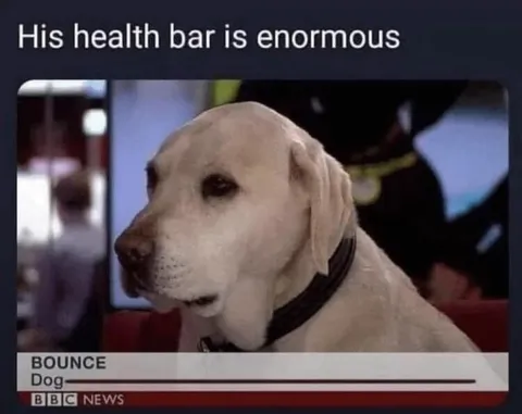 Dog With Enormous Health Bar