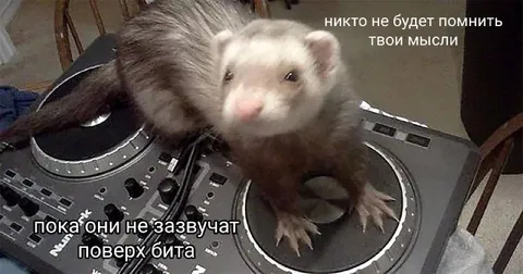 Мысли поверх бита