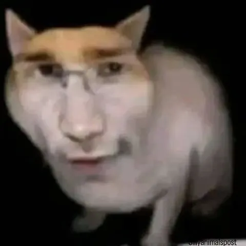 Кот с человеческим лицом