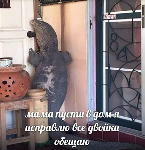 Мама пусти в дом