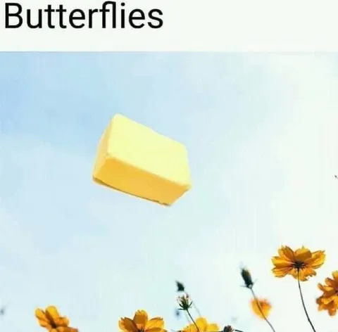 Flying Butter Instead of Butterflies