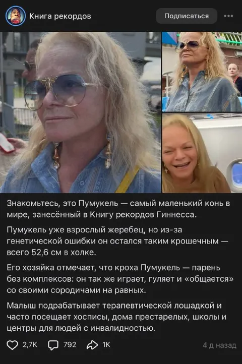 Пумукель — самый маленький конь