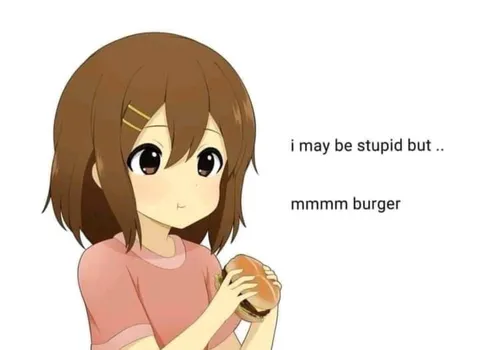 I May Be Stupid But Burger